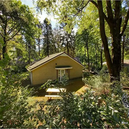 Ferienhaus Ons Boshuys C28