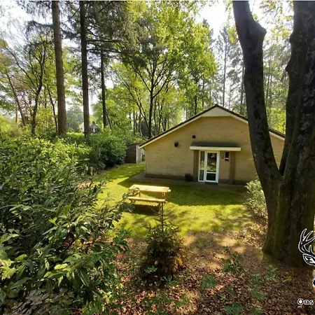 Ferienhaus Ons Boshuys C28